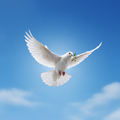 Spirit-Led